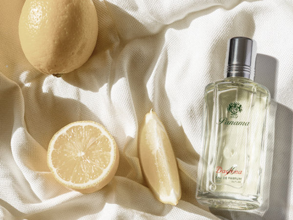 Panama 1924 - DAYTONA 10 - Eau de Parfum